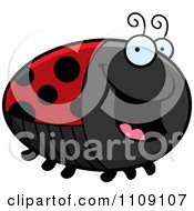 Poster, Art Print Of Chubby Happy Ladybug