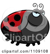 Poster, Art Print Of Chubby Sly Ladybug