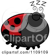 Poster, Art Print Of Chubby Sleeping Ladybug