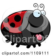 Poster, Art Print Of Chubby Hungry Ladybug