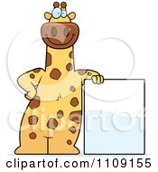 Poster, Art Print Of Giraffe Leaning On A Sign