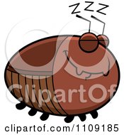 Chubby Sleeping Cockroach