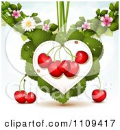 Poster, Art Print Of Bing Cherries On A Leaf Heart With Blossoms Over Blue With Flares