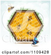 Poster, Art Print Of Bees A Butterfly And Honey Combs In A Hexagon With Grass