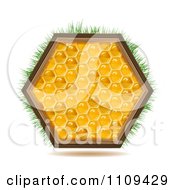 Poster, Art Print Of Honey Comb Hexagon With Grass