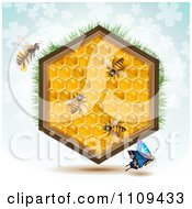 Poster, Art Print Of Butterfly And Bees With A Honey Comb Hexagon With Grass And Clovers On Blue