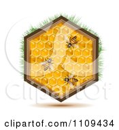 Poster, Art Print Of Bees On A Honey Comb Hexagon With Grass