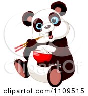 Cute Hungry Panda Eating Rice With Chopsticks