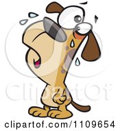 Poster, Art Print Of Dog Whining
