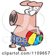 Clipart Summer Pig Holding A Beach Ball Royalty Free Vector Illustration