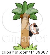 Clipart Chimpanzee Behind A Palm Tree Royalty Free Vector Illustration