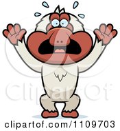 Clipart Frightened Macaque Monkey Royalty Free Vector Illustration by Cory Thoman