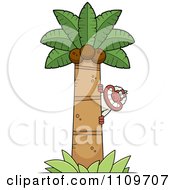 Clipart Macaque Monkey Behind A Coconut Palm Tree Royalty Free Vector Illustration
