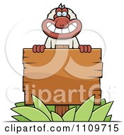 Macaque Monkey With A Wooden Sign