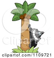 Poster, Art Print Of Gorilla Behind A Coconut Palm Tree