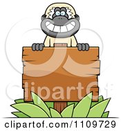 Gibbon Monkey Behind A Wooden Sign