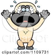 Clipart Scared Gibbon Monkey Royalty Free Vector Illustration