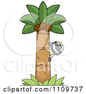 Clipart Gibbon Monkey Behind A Tree Royalty Free Vector Illustration