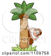 Clipart Bigfoot Sasquatch Behind A Coconut Palm Tree Royalty Free Vector Illustration