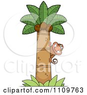Clipart Proboscis Monkey Coconut Palm Tree Royalty Free Vector Illustration by Cory Thoman