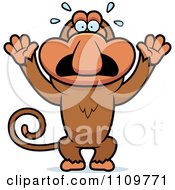 Scared Proboscis Monkey