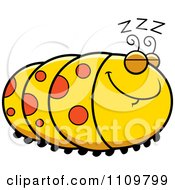 Poster, Art Print Of Sleeping Caterpillar