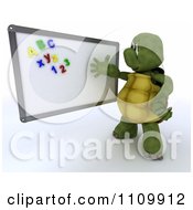Poster, Art Print Of 3d Tortoise Teacher Discussing Physics