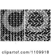 Poster, Art Print Of Black And White Seamless Floral And Clover Leaf Patterns