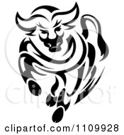 Black And White Charging Angry Bull