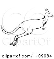 Poster, Art Print Of Black And White Jumping Kangaroo
