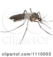 Clipart Brown Skeeter Mosquito Royalty Free Vector Illustration by dero