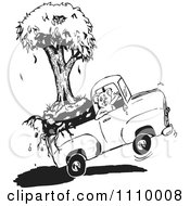 Poster, Art Print Of Black And White Aussie Koala Transporting A Tree In A Truck