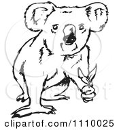 Clipart Black And White Koala Holding Leaves Royalty Free Vector Illustration