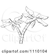 Clipart Black And White Palm Trees Royalty Free Vector Illustration