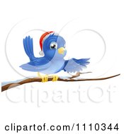 Poster, Art Print Of Presenting Christmas Bluebird Wearing A Santa Hat And Perched On A Branch With Snow