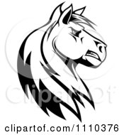 Poster, Art Print Of Black And White Tough Stallion Head