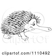 Clipart Black And White Aussie Echidna Royalty Free Illustration by Dennis Holmes Designs