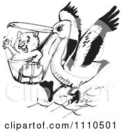 Poster, Art Print Of Black And White Aussie Wombat Traveling In A Pelicans Mouth