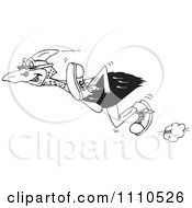 Black And White Cassowary Running