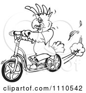 Clipart Black And White Cockatoo On A Scooter Royalty Free Vector Illustration