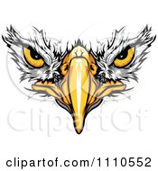 Clipart Bald Eagle Face With Menacing Eyes Royalty Free Vector Illustration by Chromaco #COLLC1110552-0173