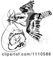 Poster, Art Print Of Black And White Aussie Kookaburra Bird Delivering A Baby Wombat