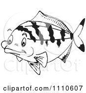 Poster, Art Print Of Black And White Salt Water Marine Fish 5