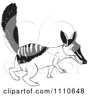Clipart Black And White Aussie Numbat Walking Royalty Free Vector Illustration