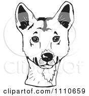 Poster, Art Print Of Black And White Aussie Dingo Head