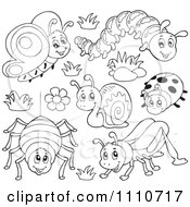 Outlined Butterfly Caterpillar Spider Snail Ladybug And Grasshopper