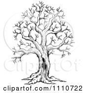 Poster, Art Print Of Black And White Sketched Hollow Bare Tree