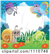 Poster, Art Print Of Blank Copyspace Bordered With A Spider Butterfly Snail And Grasshopper