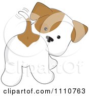 Poster, Art Print Of Cute Puppy Looking Back And Wagging His Tail