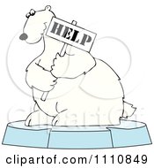 Poster, Art Print Of Polar Bear Holding A Help Sign On An Ice Floe